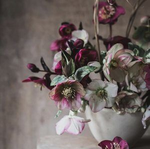 Meet your Posher, Beth